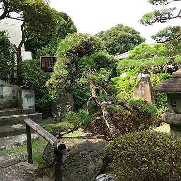 実際訪問したユーザーが直接撮影して投稿した伊興本町寺東岳寺の写真