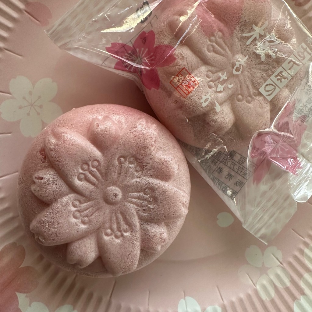 ユーザーが投稿した日持生菓子の写真 - 実際訪問したユーザーが直接撮影して投稿した吉祥寺南町和菓子銀座あけぼの アトレ吉祥寺店の写真