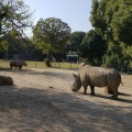 実際訪問したユーザーが直接撮影して投稿した大岩町動物園豊橋総合動植物公園の写真