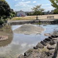 実際訪問したユーザーが直接撮影して投稿した鯰公園嘉島近隣公園の写真