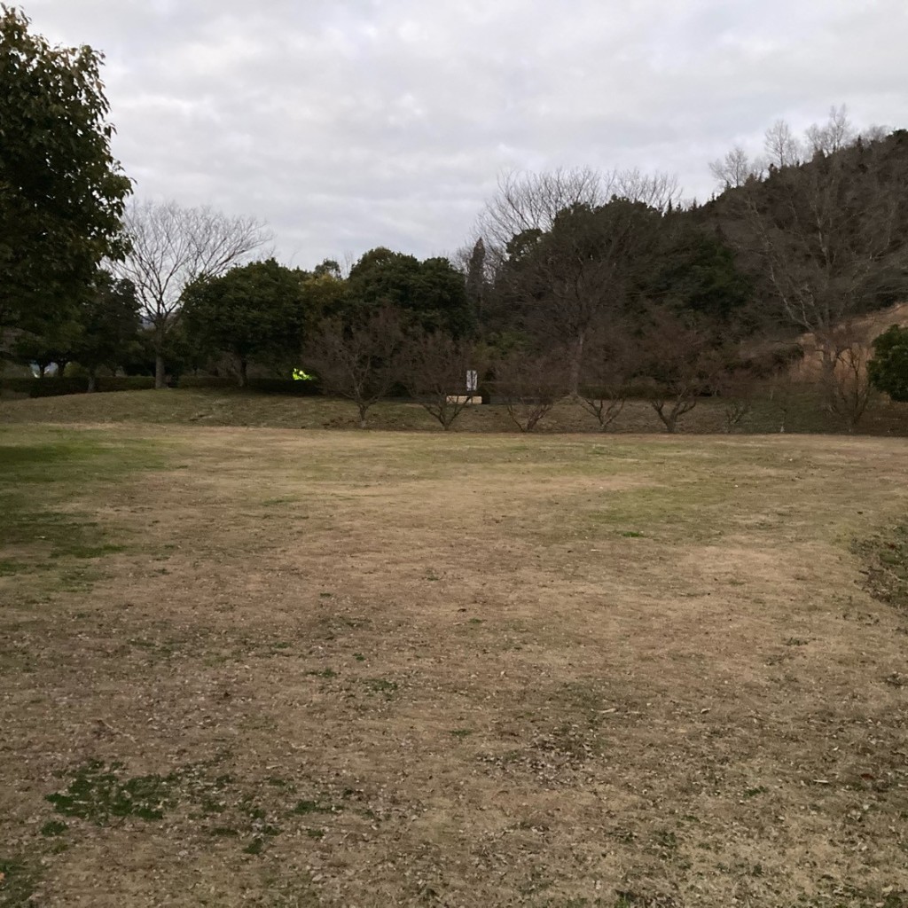 実際訪問したユーザーが直接撮影して投稿した国分寺町新名公園橘の丘公園の写真