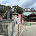 実際訪問したユーザーが直接撮影して投稿した藤方神社結城神社の写真