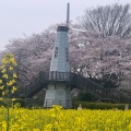 実際訪問したユーザーが直接撮影して投稿した土呂町公園見晴公園の写真