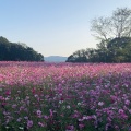 実際訪問したユーザーが直接撮影して投稿した下船越町展望台 / 展望施設展海峰の写真