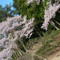 実際訪問したユーザーが直接撮影して投稿した見祢山神社土津神社の写真