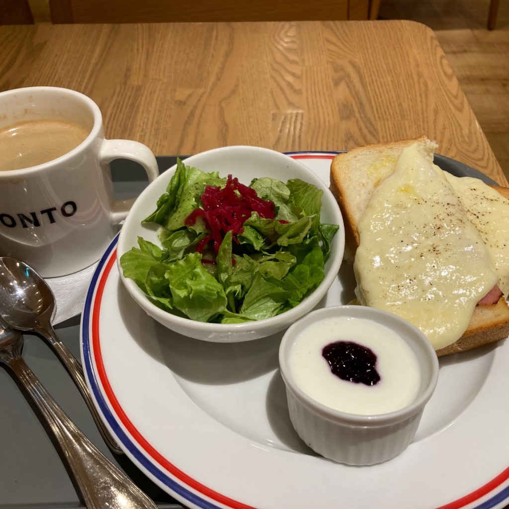 ユーザーが投稿したハムチーズトーストセットの写真 - 実際訪問したユーザーが直接撮影して投稿した高島カフェPRONTO 横浜店の写真