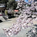 実際訪問したユーザーが直接撮影して投稿した西公園神社光雲神社の写真