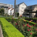 実際訪問したユーザーが直接撮影して投稿した岡本公園本山街園の写真