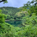 実際訪問したユーザーが直接撮影して投稿した薬王寺日帰り温泉薬王寺の湯 偕楽荘の写真