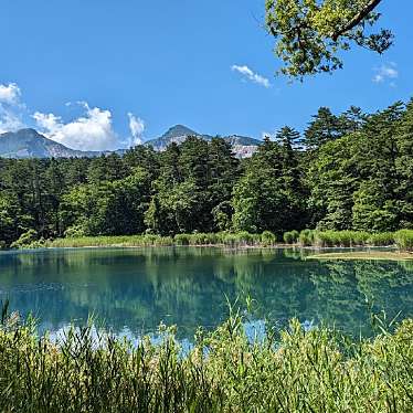 実際訪問したユーザーが直接撮影して投稿した桧原湖沼 / 池青沼(五色沼湖沼群)の写真