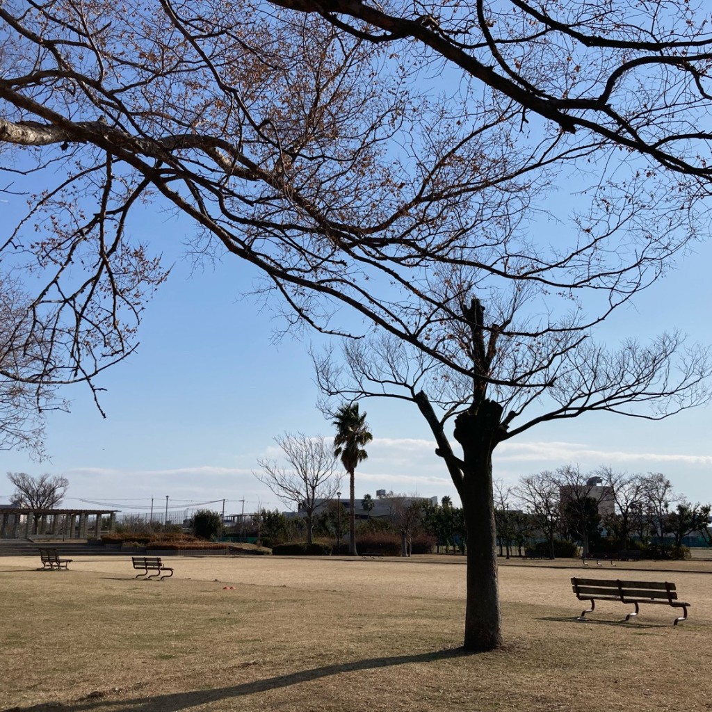 実際訪問したユーザーが直接撮影して投稿した枝川町公園鳴尾浜公園の写真