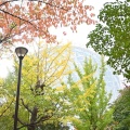 実際訪問したユーザーが直接撮影して投稿した北二条東公園永山記念公園の写真