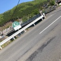 実際訪問したユーザーが直接撮影して投稿した柏屋町河川鴨川の写真