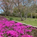 実際訪問したユーザーが直接撮影して投稿した静公園静峰ふるさと公園の写真