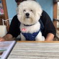 実際訪問したユーザーが直接撮影して投稿した撫養町斎田カフェれんまるカフェの写真