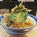 彩り天丼 - 実際訪問したユーザーが直接撮影して投稿した角田町丼もの丼丼亭 大阪ホワイティうめだ2店の写真のメニュー情報