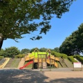 実際訪問したユーザーが直接撮影して投稿した関野町公園小金井公園わんぱく山の写真