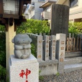 実際訪問したユーザーが直接撮影して投稿した猿江神社猿江神社の写真