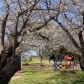 実際訪問したユーザーが直接撮影して投稿した土呂町公園見晴公園の写真