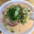 実際訪問したユーザーが直接撮影して投稿した向島西堤町ラーメン / つけ麺太陽軒の写真