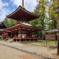 実際訪問したユーザーが直接撮影して投稿した高野山地域名所壇上伽藍の写真