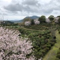 実際訪問したユーザーが直接撮影して投稿した植木町豊岡公園田原坂公園の写真