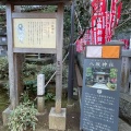 実際訪問したユーザーが直接撮影して投稿した江の島神社八坂神社(江ノ島天王社)の写真