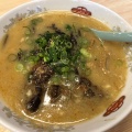 実際訪問したユーザーが直接撮影して投稿した南御座ラーメン / つけ麺ら〜めん屋 龍麺の写真