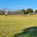 実際訪問したユーザーが直接撮影して投稿した長竿公園水と緑のふれあい公園の写真