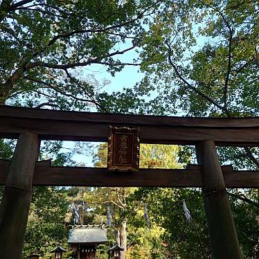 実際訪問したユーザーが直接撮影して投稿した高鼻町神社宗像神社(摂社)の写真