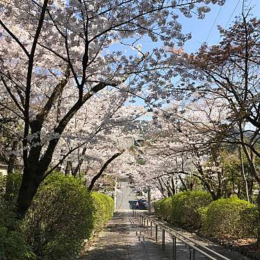 実際訪問したユーザーが直接撮影して投稿した山 / 峠吉田山の写真