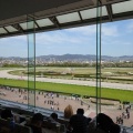 実際訪問したユーザーが直接撮影して投稿した駒の町競馬場阪神競馬場の写真