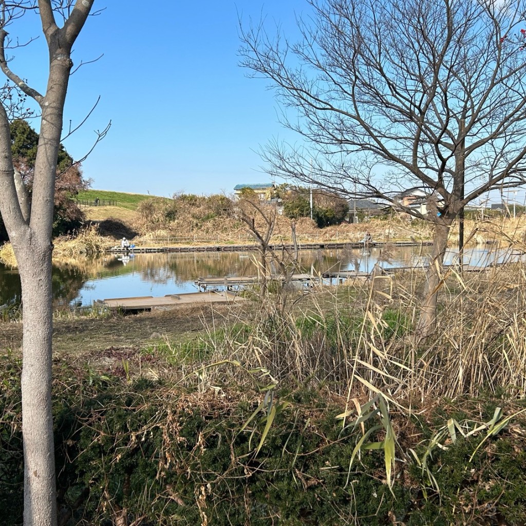 実際訪問したユーザーが直接撮影して投稿した主水新田公園まこも池緑地の写真