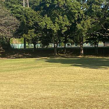 実際訪問したユーザーが直接撮影して投稿した七ツ島公園光山公園の写真