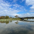 実際訪問したユーザーが直接撮影して投稿した水原湖沼 / 池瓢湖の写真