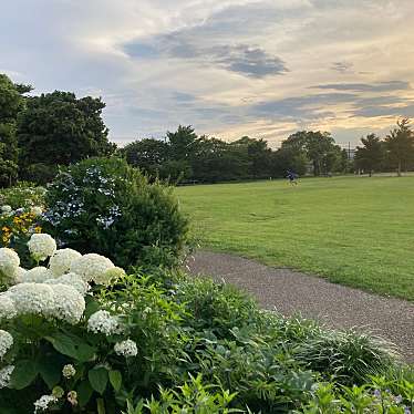 実際訪問したユーザーが直接撮影して投稿した弁天公園弁天ふれあいの森公園の写真