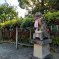 実際訪問したユーザーが直接撮影して投稿した元町神社茨木神社の写真