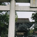 実際訪問したユーザーが直接撮影して投稿した香椎神社香椎宮の写真