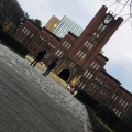 実際訪問したユーザーが直接撮影して投稿した本郷大学東京大学の写真