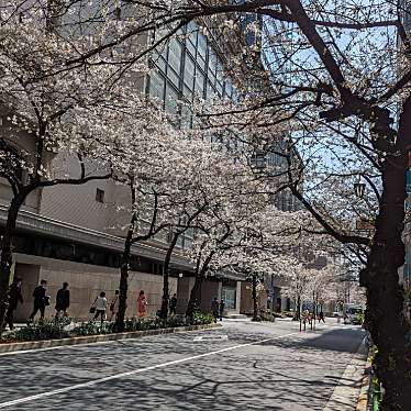 東京駅八重洲口さくら通りのundefinedに実際訪問訪問したユーザーunknownさんが新しく投稿した新着口コミの写真