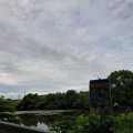 実際訪問したユーザーが直接撮影して投稿した太田公園一本松堤の写真