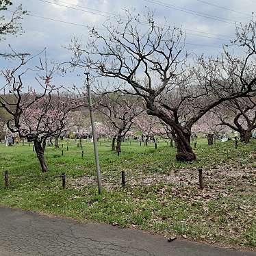 平岡公園のundefinedに実際訪問訪問したユーザーunknownさんが新しく投稿した新着口コミの写真