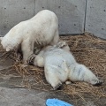 実際訪問したユーザーが直接撮影して投稿した戸賀塩浜水族館 / アクアリウム男鹿水族館GAOの写真