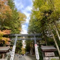 実際訪問したユーザーが直接撮影して投稿した(番地が直接)神社諏訪大社 下社秋宮の写真