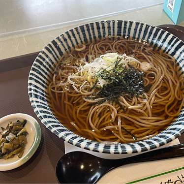 実際訪問したユーザーが直接撮影して投稿した佐野定食屋道の駅 北信州やまのうち 食堂の写真