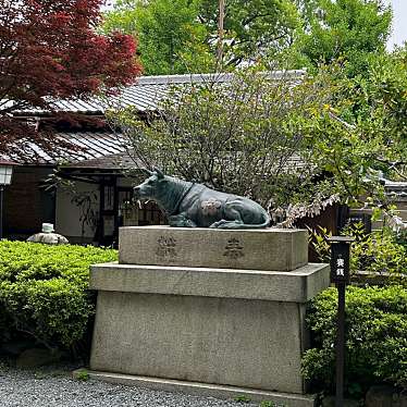 実際訪問したユーザーが直接撮影して投稿した堀松町神社神牛(菅原院天満宮神社)の写真