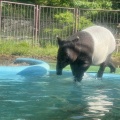 実際訪問したユーザーが直接撮影して投稿した程久保動物園多摩動物公園の写真