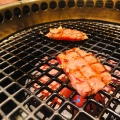 実際訪問したユーザーが直接撮影して投稿した南藤沢焼肉韓食菜炎 ヨンドン 藤沢駅南口店の写真