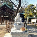 実際訪問したユーザーが直接撮影して投稿した北品川神社荏原神社の写真