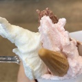 トリプル - 実際訪問したユーザーが直接撮影して投稿した滝山町アイスクリームミルクアイスMO-MOの写真のメニュー情報
